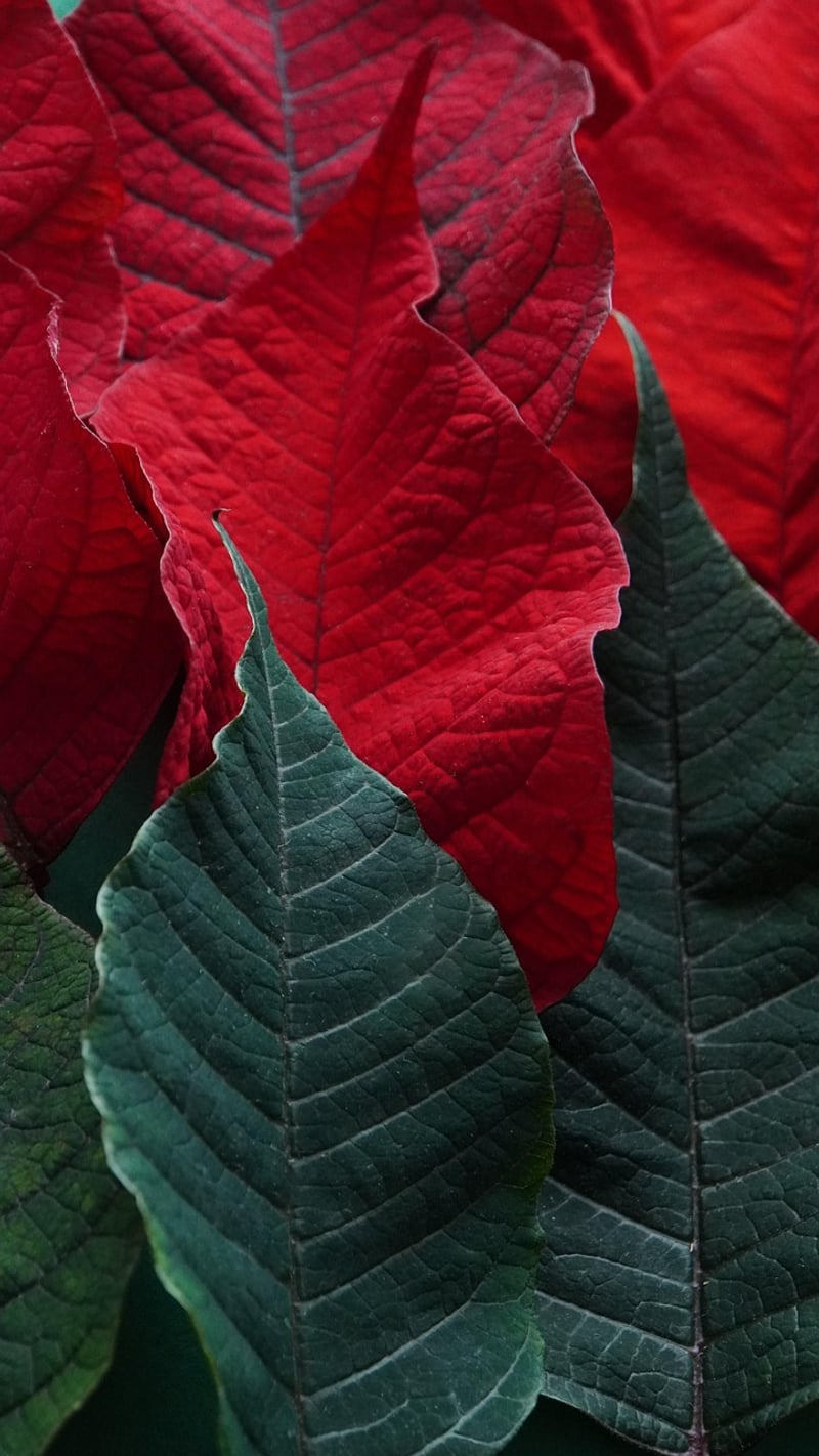 Textile Art